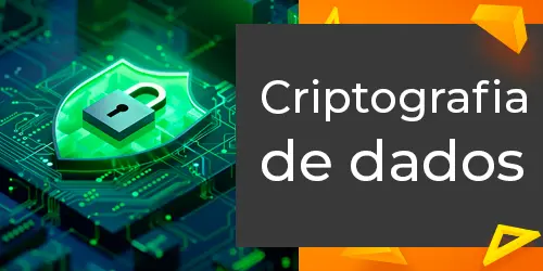 O que é e Como Funciona a Criptografia de dados?