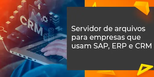 Servidor de Arquivos: item essencial para empresas que usam SAP, ERP e CRM