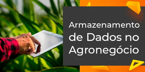 Transformação Digital no Agronegócio: Inovação e Armazenamento de Dados