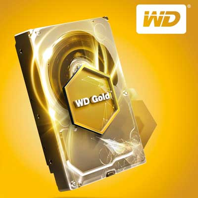 Alto desempenho do WD1005FBYZ 1TB