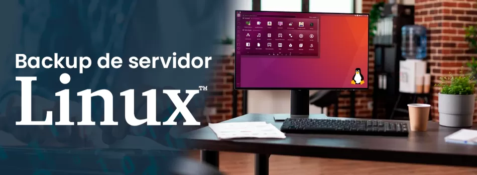 Como Realizar Backup de Servidor Linux de Forma Segura e Eficiente