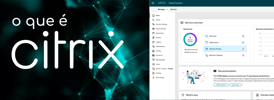 O Que é Citrix?