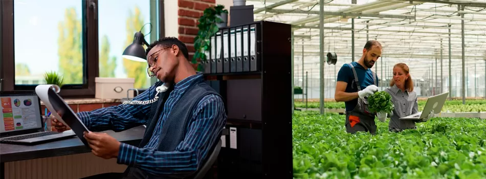 Os Desafios Do Armazenamento Em Nuvem No Setor Agro