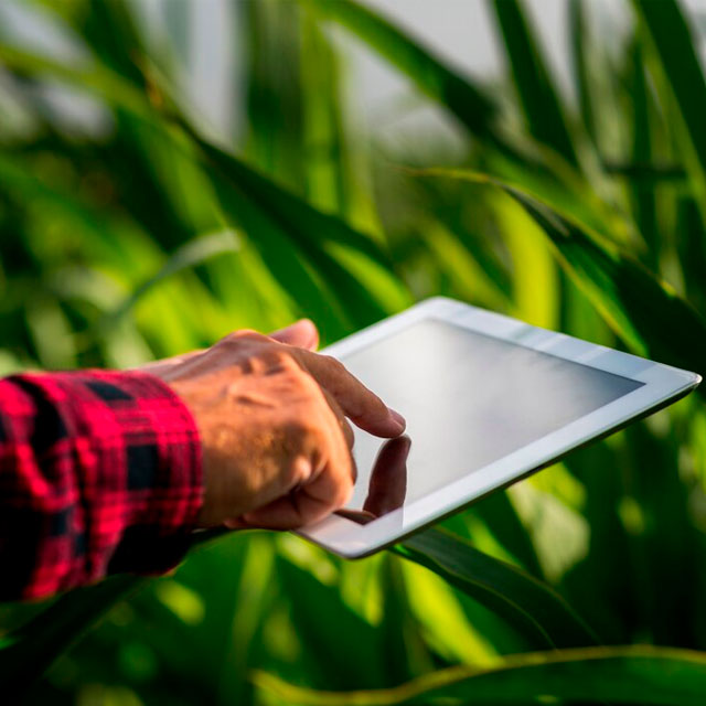 Armazenamento de Dados no Agronegócio