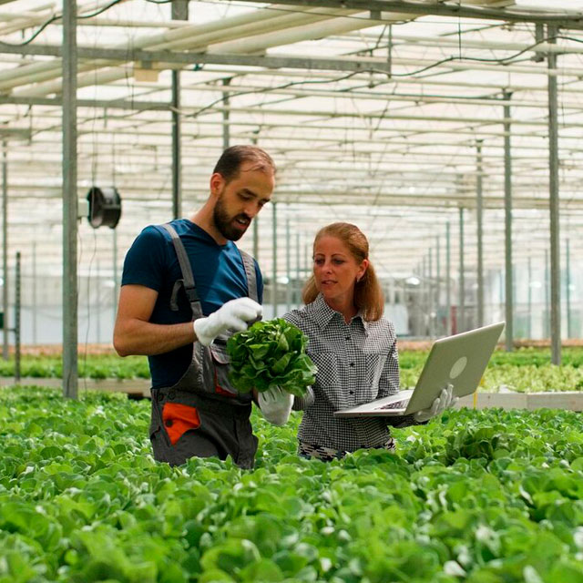 Solução de armazenamento de dados no Agro